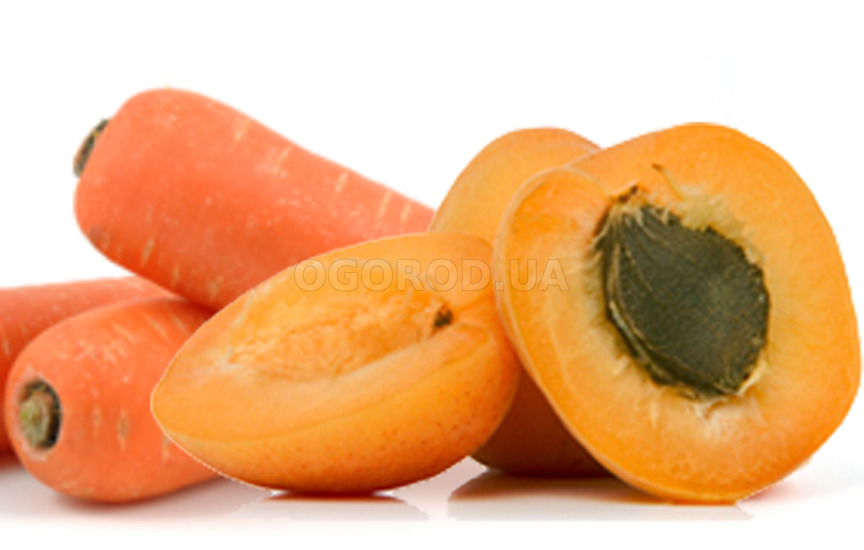 Абрикосы в морковно-лимонном соке без сахара