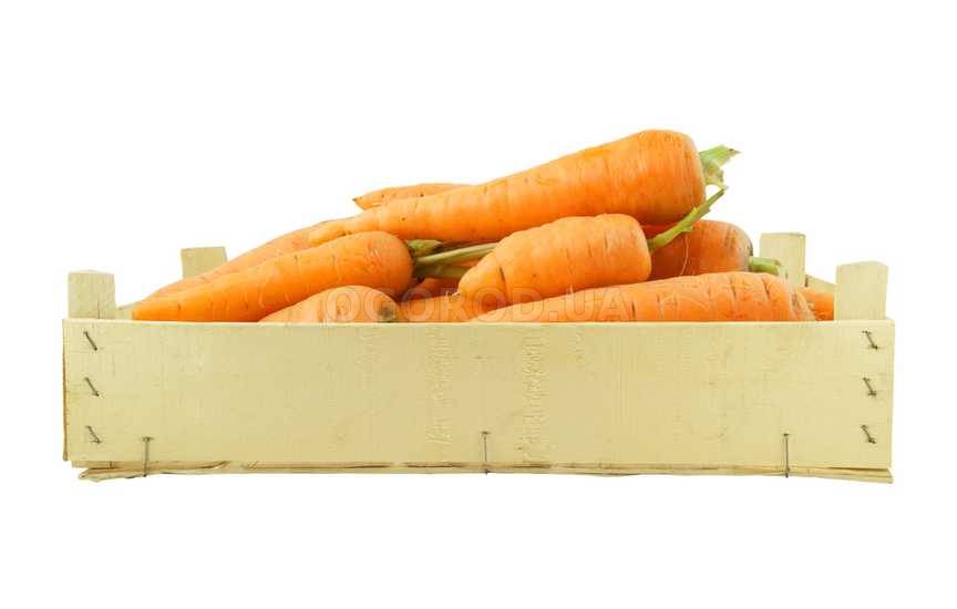 Как харнить морковь