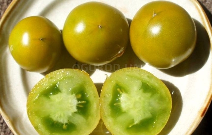 Томат «Lime Green Salad» (Зеленый Лайм салат)