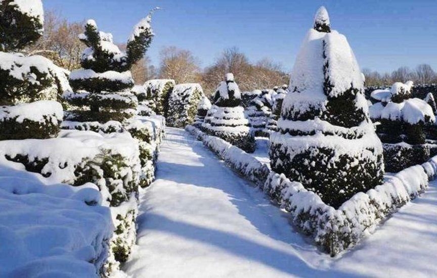 10 отличных способов украсить сад зимой