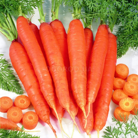 Семена моркови «Артек», ТМ OGOROD - 2 грамма