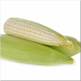 Семена кукурузы «Белая королева», ТМ OGOROD - 10 грамм