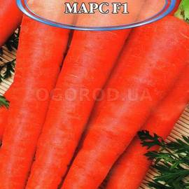 Семена моркови «Марс» F1, ТМ Innova Seeds - 2 грамма