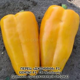 Семена перца сладкого «Джемини» F1 / Gemini F1, ТМ Nunhems - 5 семян