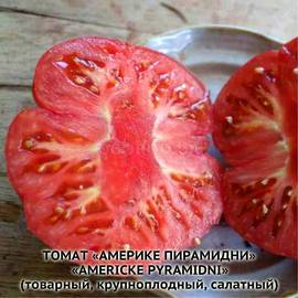 Семена томата «Americke pyramidni» (Америке пирамидни), серия «От автора» - 100 семян