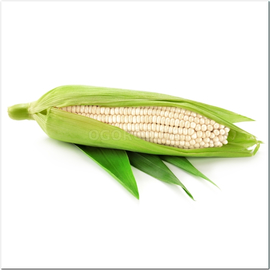 Семена кукурузы «Снежная королева», ТМ OGOROD - 10 грамм