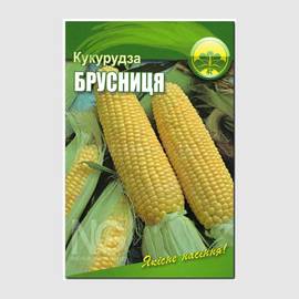 Семена кукурузы сахарной «Брусница» ТМ OGOROD - 10 грамм (ОПТ - 10 пакетов)