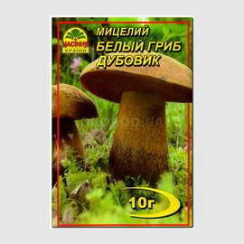 Мицелий гриба «Белый Дубовик» / Boletus luridus, ТМ «НАСІННЯ КРАЇНИ» - 10 грамм