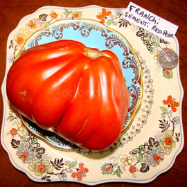 Семена томата «Red Pear Franchi» (Французские красные груши), серия «От автора» - 10 семян