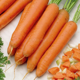 Семена моркови «Без сердцевины», ТМ OGOROD - 2 грамма