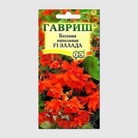 Семена бегонии ампельной «Эллада» F1 / Begonia tuberhybrida pendula multiflora fl.pl., ТМ «ГАВРИШ» - 5 семян