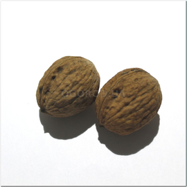Семена грецкого ореха «Идеал», ТМ OGOROD - 2 ореха