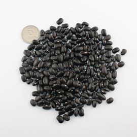 Семена фасоли зерновой «Черная Черепаха», ТМ OGOROD - 10 грамм