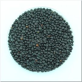 Семена чечевицы черной (белуга), ТМ OGOROD - 10 грамм