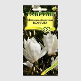 Семена магнолии обнаженной «Юлиана» / Magnolia denudata, ТМ «ГАВРИШ» - 3 семечка