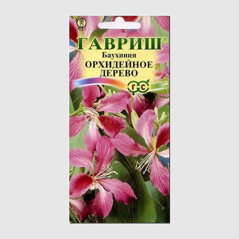 Орхидейное дерево семена Орхидейное дерево семена