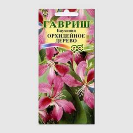 Семена баухинии «Орхидейное дерево» / Bauhinia purpurea L., ТМ «ГАВРИШ» - 3 семечка
