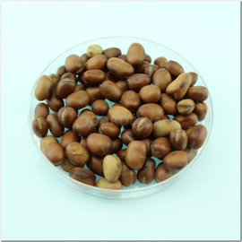 Семена бобов «Греческие» / Vicia faba, ТМ OGOROD - 10 семян