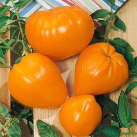 Семена томата «Бычье сердце оранжевое», ТМ OGOROD - 200 семян