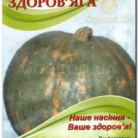 Семена кавбуза «Здоровяга», ТМ «ИМБиГ НАН Украины» - 12 семян