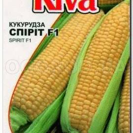 Семена кукурузы «СПИРИТ» F1, ТМ «Syngenta» - 5 грамм