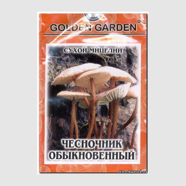 Сухой мицелий гриба «Чесночник обыкновенный», ТМ Golden Garden - 10 грамм