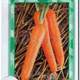 Семена моркови столовой «Нантиндо» F1 / Nantindo, ТМ Clause Tezier - 1 грамм