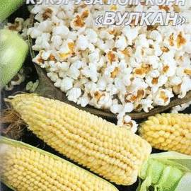 Семена кукурузы поп-корн «Вулкан», ТМ «СЕМЕНА УКРАИНЫ» - 20 грамм