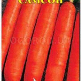 Семена моркови «Самсон», ТМ Елітсортнасіння - 2 грамма