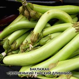 Семена баклажана «Зелененький тайский длинный» / Thai green long, серия «От автора» - 10 семян