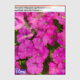 УЦЕНКА - Семена петунии мелкоцветковой «Карлик фиолетовый» F1, ТМ Cerny - 10 семян