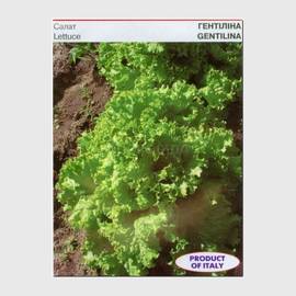 Семена салата «Гентилина», ТМ Sais - 1 грамм