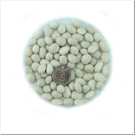 Семена фасоли зерновой «Бомбочка», ТМ OGOROD - 100 грамм