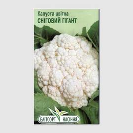 Семена капусты цветной «Снежный гигант», ТМ «Елітсортнасіння» - 0,5 грамм
