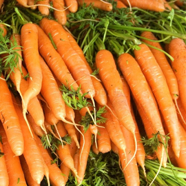 Семена моркови «Амстердамская», ТМ OGOROD - 200 грамм