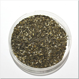 Семена салата (сортосмесь), TM OGOROD - 5000 семян
