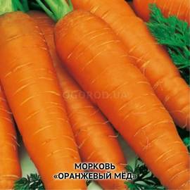 Семена моркови «Оранжевый мед», ТМ OGOROD - 2 грамма