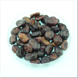 Семена бобов «Экстра Грано Виолетто», ТМ OGOROD - 100 семян