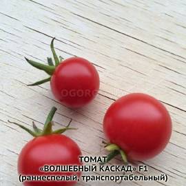 Семена томата «Волшебный каскад» F1, ТМ «СеДеК» - 5 семян