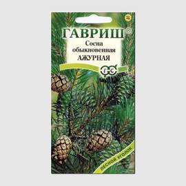 Семена сосны обыкновенной «Ажурная» / Pinus sylvestris, ТМ «ГАВРИШ» - 0,2 грамма
