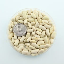Семена фасоли сахарной «Нассау», ТМ OGOROD - 100 семян