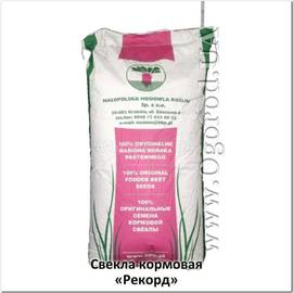 Семена свеклы кормовой «Рекорд» / Beta vulgaris var. Rekord, ТМ Malopolska Hodowla Roslin - 10 кг