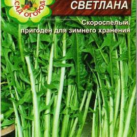 Семена салата «Светлана», ТМ Агрогруппа «САД ОГОРОД» - 1 грамм
