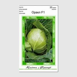 Семена капусты белокочанной «Оракл» F1 / Oracle F1, ТМ Clause Tezier - 20 семян