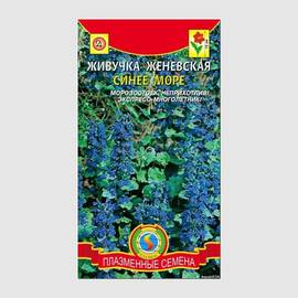 Семена живучки женевской «Синее море», ТМ «ПЛАЗМЕННЫЕ СЕМЕНА» - 10 семян