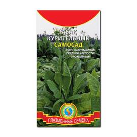 Семена табака курительного «Самосад», ТМ «ПЛАЗМЕННЫЕ СЕМЕНА» - 300 семян