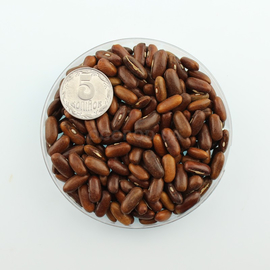 Семена фасоли спаржевой «Настенька», ТМ OGOROD - 100 грамм