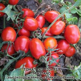 Семена томата «KS 720» F1, ТМ Kitano - 50 семян