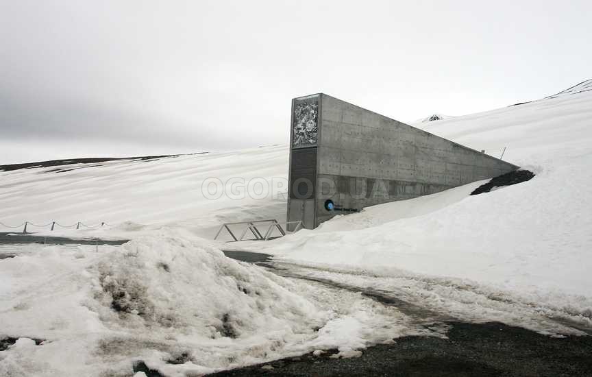 Хранилище семян - Svalbard Global Seed Vault