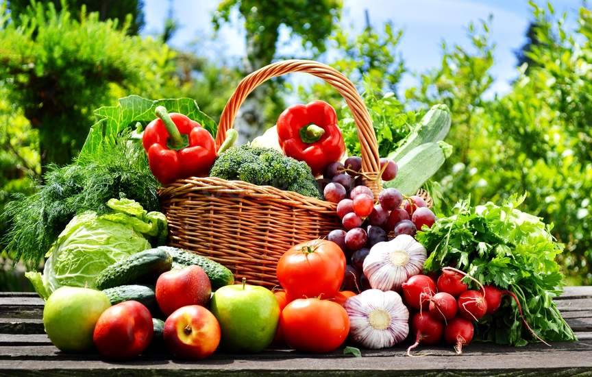 Что посадить в огороде: традиционный овощной набор